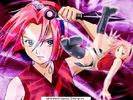 ok_496[1]