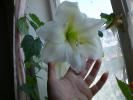 CIMG0205