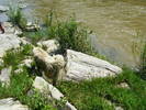 DSCF2484
