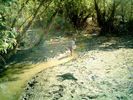 IMAG0023