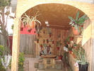 DSC09815