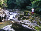 DSCF5184