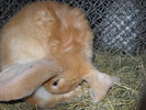 DSCN0206