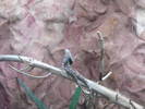 Picture 136