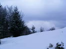 DSCF7620