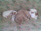 Imag045