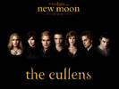CustomMadeNewMoonWallpaper[1]
