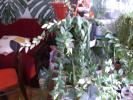 Picture 010