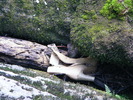 DSCF5186
