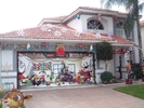 Christmas (24)