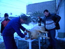 DSCN4035