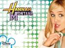 Hannah Montana 17