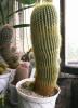 Notocactus leninghausii