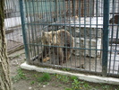 Picture 113