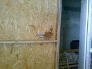 25052008414