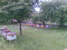 24052008(019)