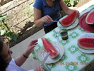DSCN7287