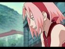 ok_402[1]