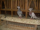 DSCN0479