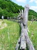 DSCF0992