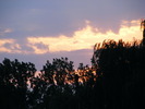 DSCF5587