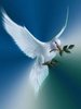 Dove_Of_Peace
