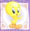 baby tweety 1