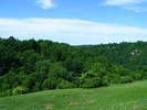 DSCF0614