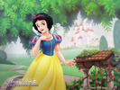 Snow-White-Wallpaper-snow-white-and-the-seven-dwarfs-6475327-1024-768