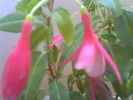 Picture 015