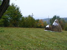 DSCF7340