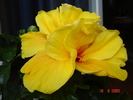 DSC02575