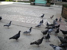 DSCN0099