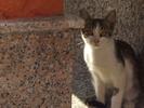 DSCF1525