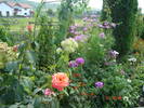 Sighisoara Aug.2006 101