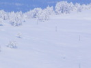 DSCF6363