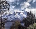 61_1280[1]