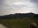 PICT0242
