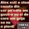 ALEX ESTI O STEA