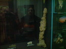 DSC00485