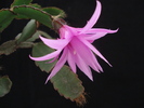 DSC01695