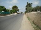 DSC04967