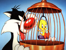 sylvester_tweety2