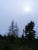 DSCF7339