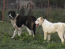 poze 01.05.2009 113