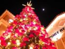 christmas_tree_full_of_light-t1