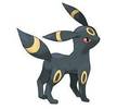 197umbreon