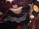 DSC00976