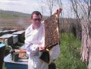 Rama puiet si apicultoru care verifica rama