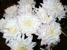 P1100696